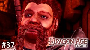 Dragon Age Origins ► Дорога к Совершенной ► Прохождение за Мага #37