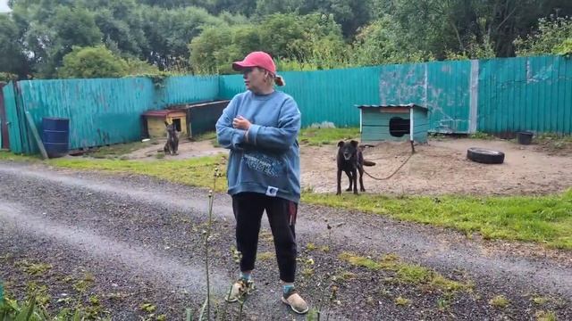 Вода для собак, Филимон и зачем забрали кости смотреть онлайн