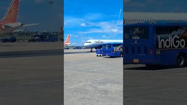 Indigo bus at airport