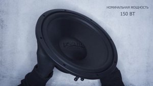 Распаковка AMP RAID 150 124