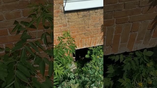 "Ушедшие под землю" дома со входом на второй этаж. Самара, ул. Самарская 93 и 201 | Холин Роман смотреть онлайн