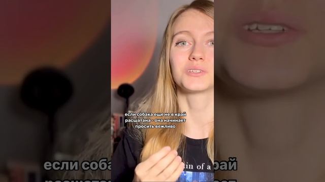 Полный урок на канале #собака #кинолог