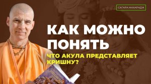 Е.С. Бхакти Расаяна Сагара Махарадж - Как можно понять, что Акула представляет Кришну?