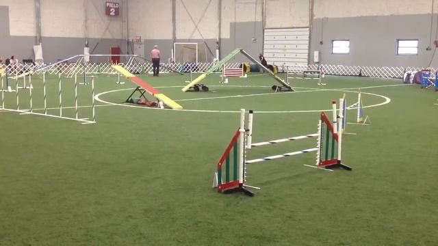 Leda Master Standard 7/26/13 Q&2nd смотреть онлайн