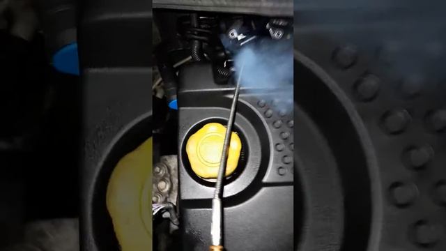 3 дні Розкоксовки двигуна Дімексидом 700 гр масложора на 100 км (DMSO) a13dte multijet 1.3 смотреть онлайн