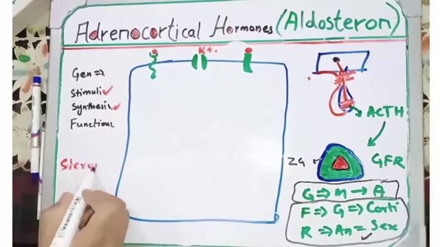 Endocrinology | Adrenocortical Hormones ( Aldosterone Synthesis And Functions) Part 1 in Urdu/Hindi смотреть онлайн