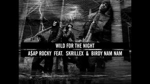 Wild For The Night - A$AP Rocky feat. Skrillex and Birdy Nam Nam