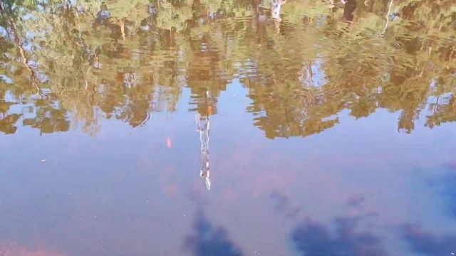 Латвия Как рыба в Воде Процветающие Города Новый стадион Нудистский Пляж #рекомендации #латвия #жиз