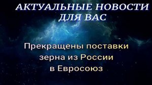 Прекращены поставки зерна из России в Евросоюз