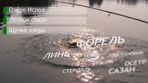 Охотхозяйство Экомир