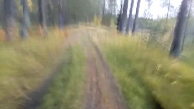 на телефон