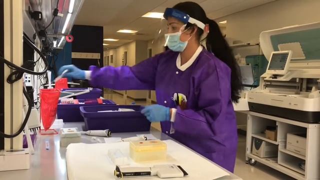 Immunovia, Inc. Clinical Laboratory Tour смотреть онлайн