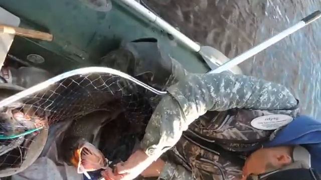 Иртышская щучка