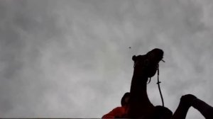 🔥Подготовка к соревнованиям. 2021 год🐎 ✨🐴Rider's notes // Заметки конника🐎