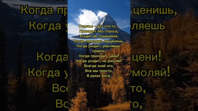 Бәхет - Счастье ❤️ #бәхет #счастье #happiness #ГәрәевДамир #ГараевДамир #GaraevDamir #shorts #short