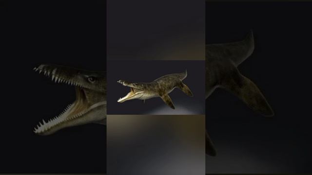 1000077324.mp4