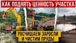 КАК ПОДНЯТЬ ЦЕННОСТЬ УЧАСТКА? Расчищаем заросли и чистим пруды #расчисткаучастка #купитьучасток