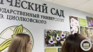 The Lucky Sevens / Г