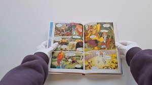 Winx. Приключения продолжаются. Комикс. Том 2