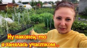 МОЯ ЗАРОСШАЯ ДАЧА/ДОШЛИ РУКИ ДО МОЕГО ЗАРОСШЕГО УЧАСТКА/ГЕНЕРАЛЬНАЯ УБОРКА ЗАПУЩЕННОГО УЧАСТКА