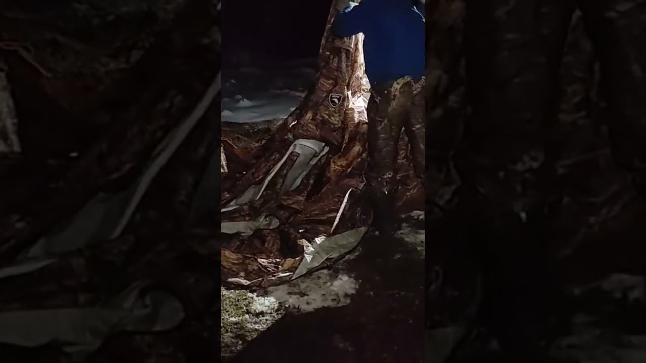 Собираем лагерь смотреть онлайн