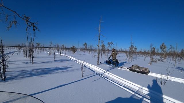 Снегоход Альбатрос везет дрова смотреть онлайн