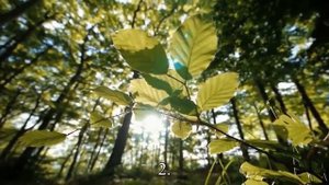 Специалисты назвали способы защиты от излучения WI FI  — Статья