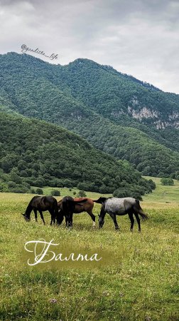 Балта. Осетия.