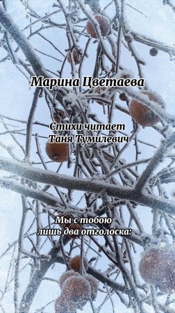 Марина Цветаева "Мы с тобою лишь два отголоска..." Стихи читает Таня Тумилевич.