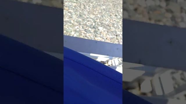 Качели Крылья Балтики