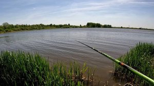РЫБАЛКА НА КАРАСЯ с поплавком на маховую удочку