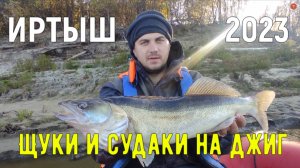 Рыбалка на реке Иртыш, сентябрь 2023. Ловля судаков и щук на джиг.