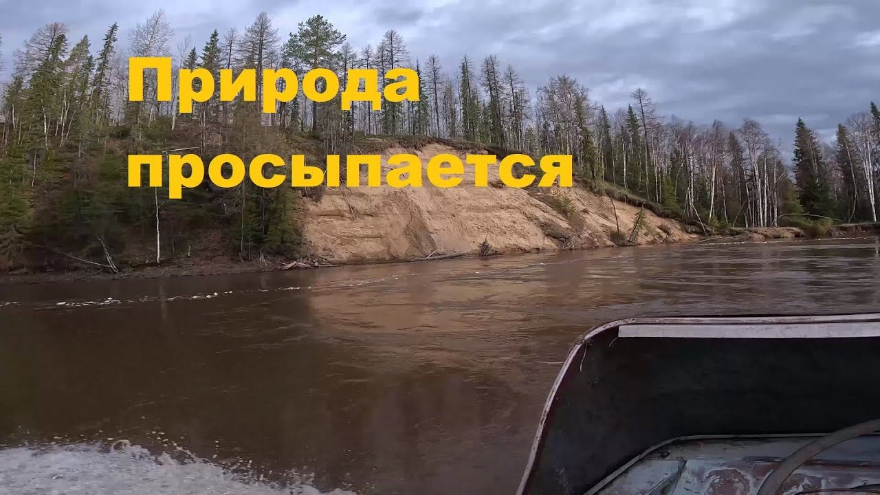 Ремонт избы. На лодке обь по разлившейся реке весной. смотреть онлайн