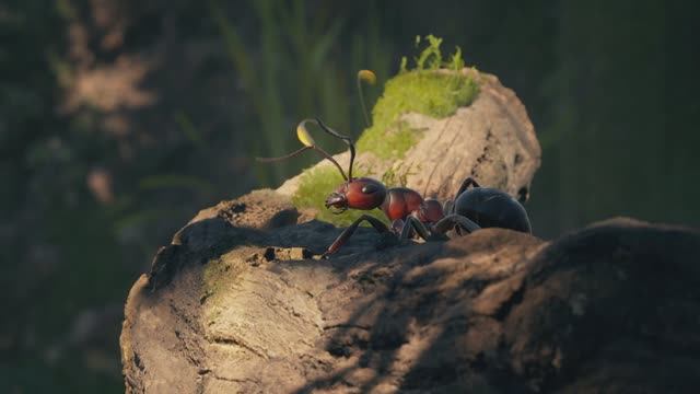 Empire of the Ants  обзор