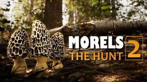 Morels: The Hunt 2