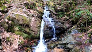 Soothing stream sound in nature sounds a gentle stream sound, flowing water soothing sounds