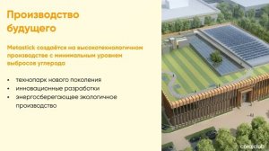 Метастик. Презентация