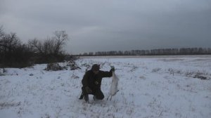 Уехали в Таёжную Избушку. Зрелищные Выходы Зайцев под Выстрел!!!