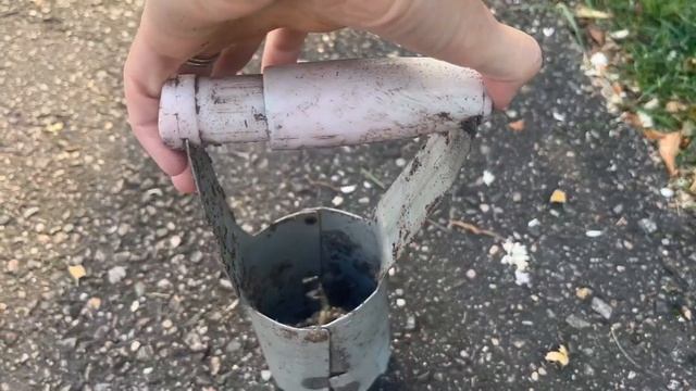 Honest Review of FLORA GUARD Bulb Planter with Depth Mark смотреть онлайн