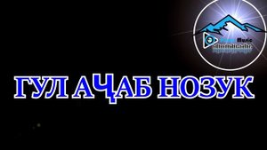 АСАНШОИ САИДИК - ГУЛ АЧАБ НОЗУМ - МУВОФИКИ ТАЛАБ