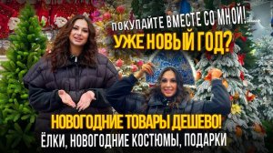 НОВОГОДНИЕ ТОВАРЫ ДЕШЕВО✨НОВОГОДНИЕ КОСТЮМЫ, ПОДАРКИ, ЕЛКИ🎀ОБЗОР ТОВАРОВ НА САДОВОДЕ