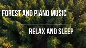 Forest Scenes Relaxation, Stress Relief, Sleep, Concentration on Insomnia, Study and Reading