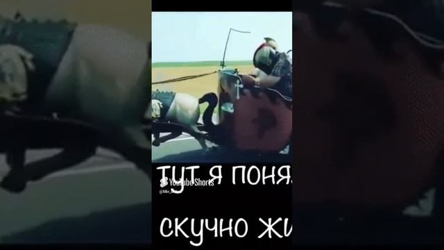 Скучно живу😆✌️