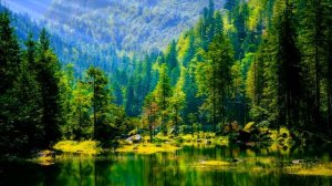 Природа Под Исламскую Расслабляющую музыку