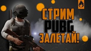 Pubg - Стрим