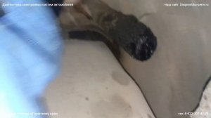 Кинг Лонг Cummins в гору падает мощность,плохо тянет