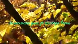 01. Исихия. иером Симон (Безкровный)_144p.mp4