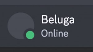 Никогда Не Ставь Невидимую Аватарку...