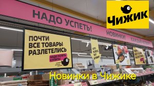 Новинки Чижика в ноябре 2024 года.