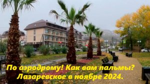 Лазаревское 22.11.2024. По "Аэродрому" Сегодня пасмурно!